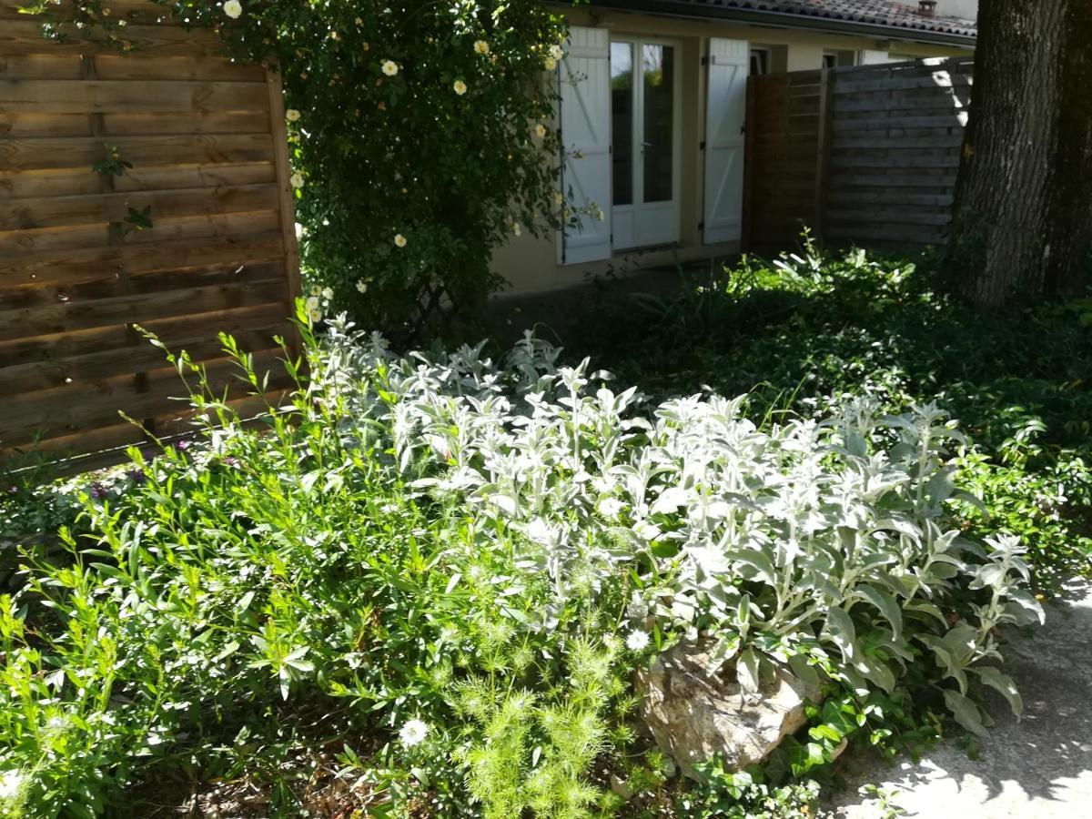Apartamento Chez Karine Et Julien Cahors Exterior foto